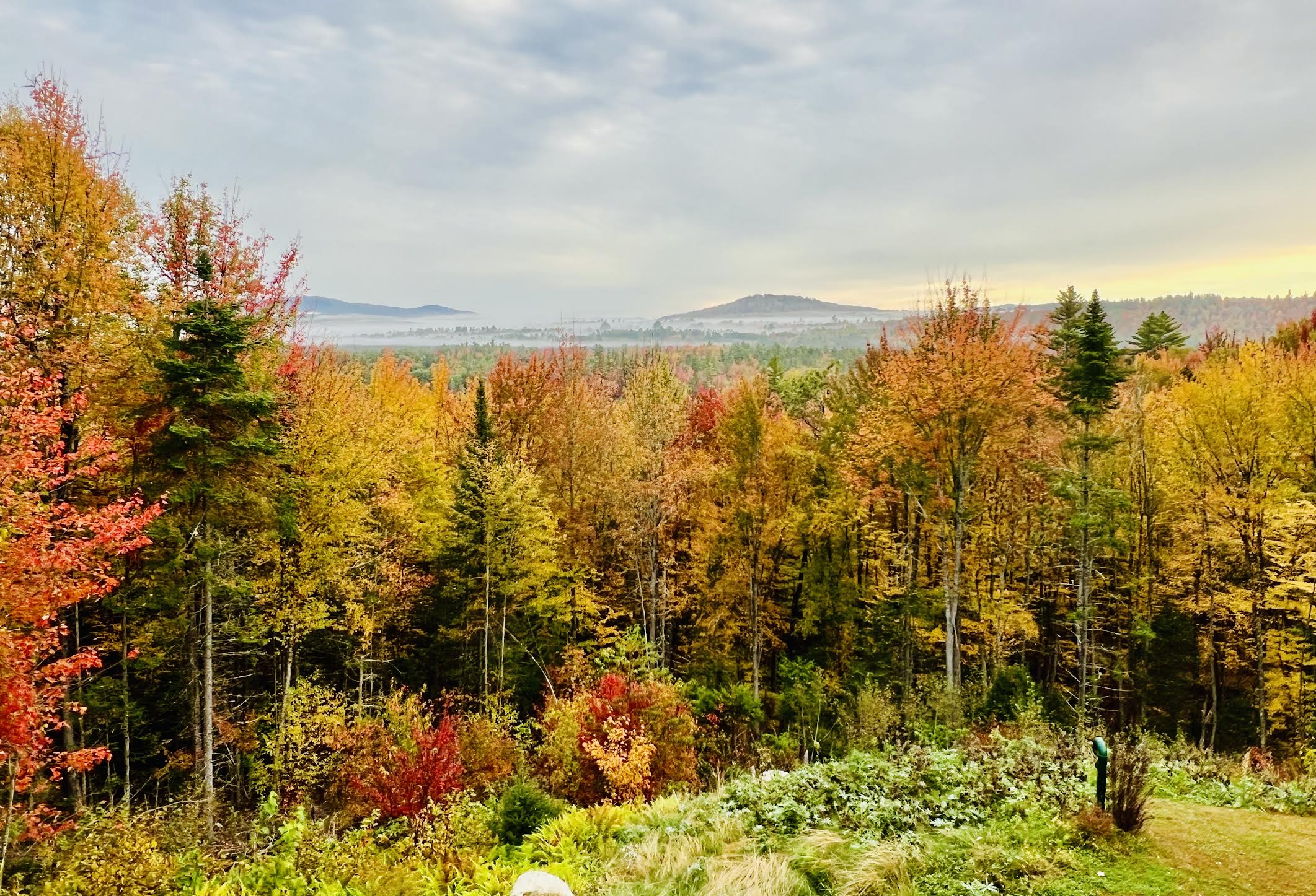 Autumn view of the White Mountains surrounding the property